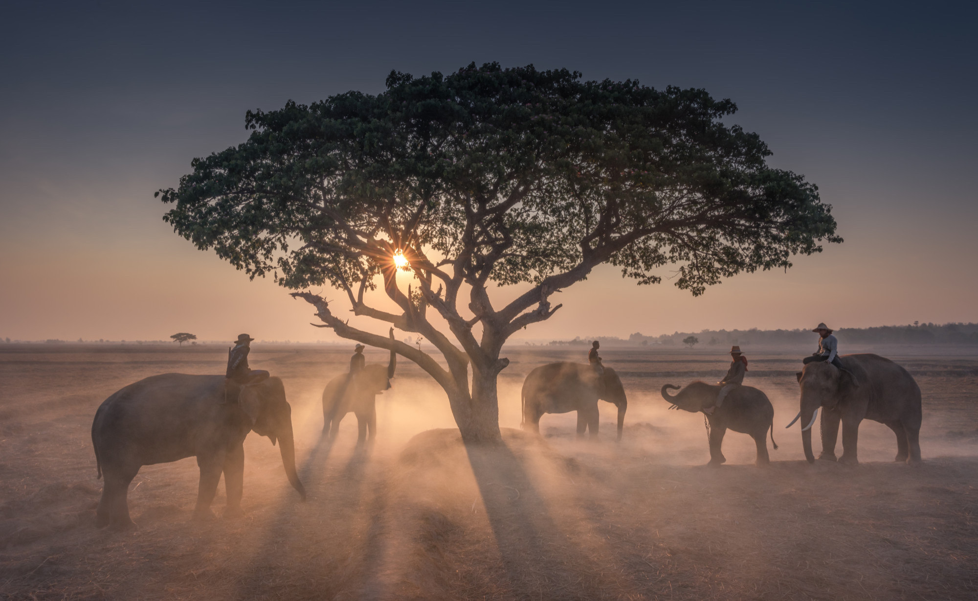 Afrika